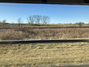 View of a dry grass field out the window of a bus